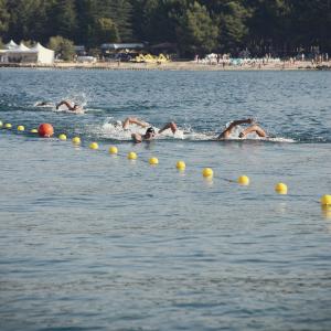 Poreč Dolphin