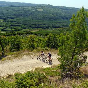 Bike trails