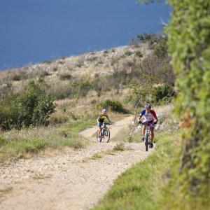 Bike trails