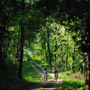 Bike trails