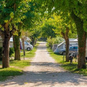 Camping Zelena Laguna-2