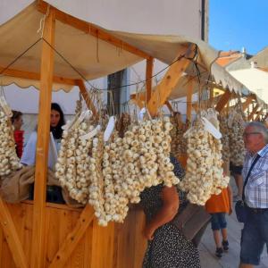 Istrian Garlic Festival