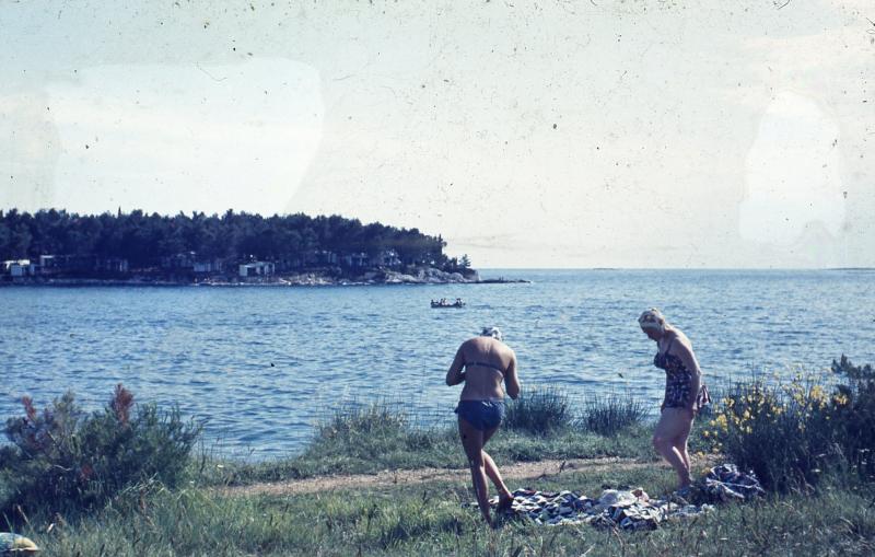 Development of the bathing suit