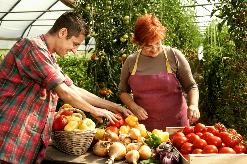 WEB HOME-MADE MARKET